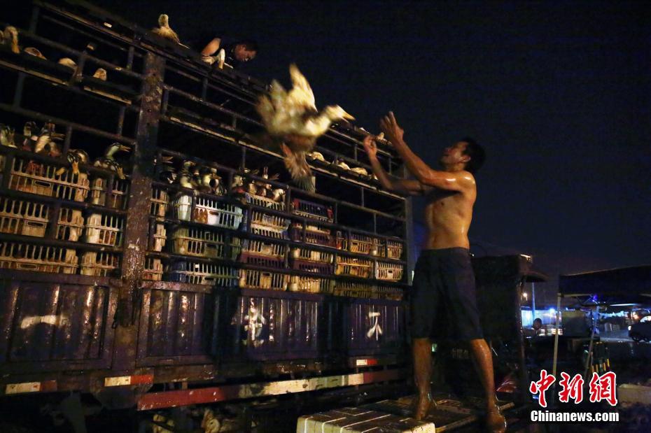 習(xí)近平同巴西聯(lián)邦共和國(guó)總統(tǒng)舉行會(huì)談 兩國(guó)元首一致同意推動(dòng)中巴全面戰(zhàn)略伙伴關(guān)系取得新的更大發(fā)展