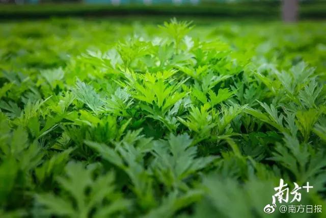俞正聲會(huì)見(jiàn)巴西聯(lián)邦共和國(guó)總統(tǒng)