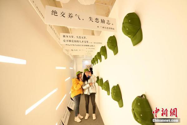 河北“袁府”是養(yǎng)老院？白巖松：要真是，就感動中國了