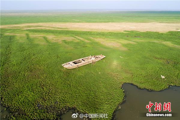 習(xí)近平同巴西聯(lián)邦共和國總統(tǒng)舉行會談 兩國元首一致同意推動中巴全面戰(zhàn)略伙伴關(guān)系取得新的更大發(fā)展