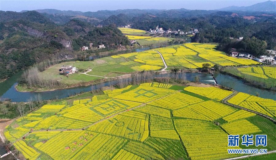 四川廣元跆拳道老師抱摔學(xué)生 校方:老師已停職絕不姑息