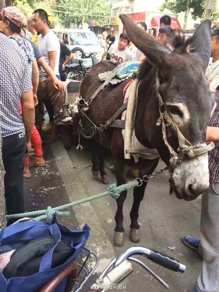 西安維權(quán)女車主反被債主維權(quán)，一碼歸一碼
