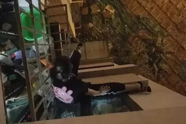 俄遠東草原發(fā)生火災造成27人受傷
