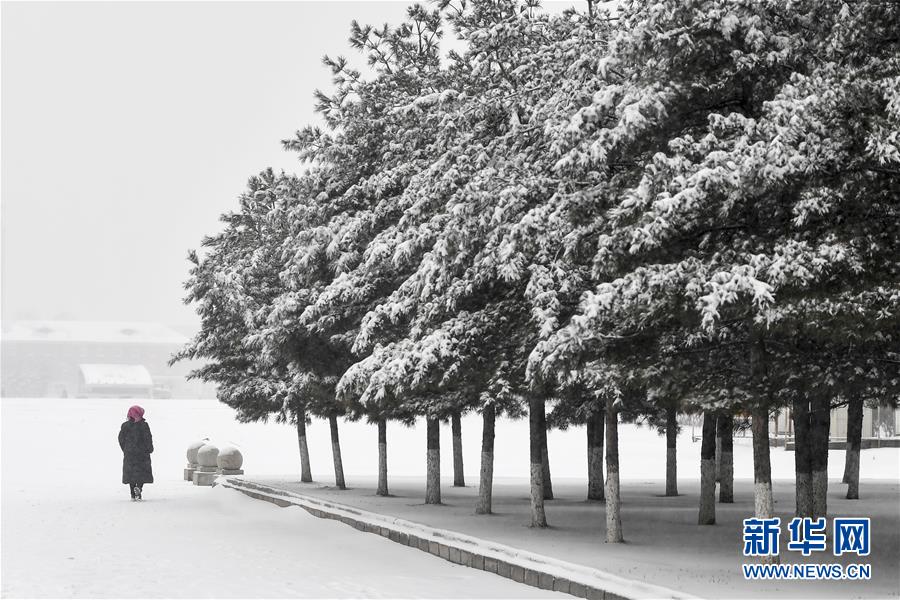 習(xí)近平同巴西聯(lián)邦共和國總統(tǒng)舉行會(huì)談 兩國元首一致同意推動(dòng)中巴全面戰(zhàn)略伙伴關(guān)系取得新的更大發(fā)展