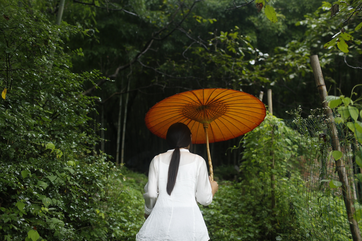 習(xí)近平同巴西聯(lián)邦共和國(guó)總統(tǒng)舉行會(huì)談 兩國(guó)元首一致同意推動(dòng)中巴全面戰(zhàn)略伙伴關(guān)系取得新的更大發(fā)展