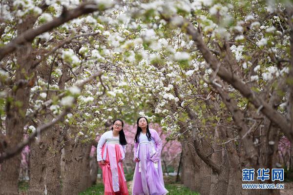 習(xí)近平同巴西聯(lián)邦共和國(guó)總統(tǒng)舉行會(huì)談 兩國(guó)元首一致同意推動(dòng)中巴全面戰(zhàn)略伙伴關(guān)系取得新的更大發(fā)展