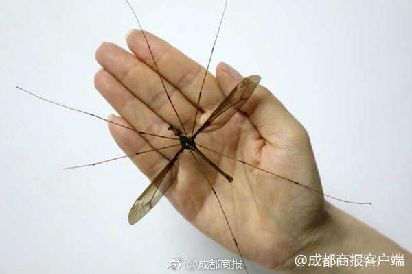 李克強會見巴西聯(lián)邦共和國總統(tǒng)