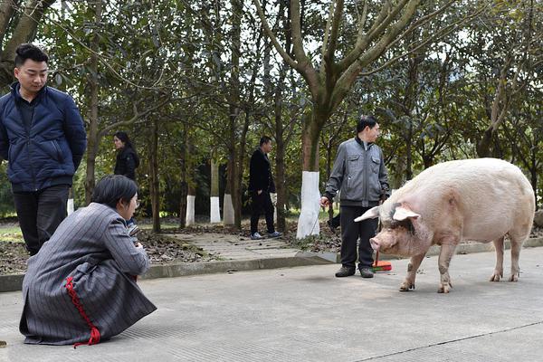 習近平同巴西聯(lián)邦共和國總統(tǒng)舉行會談 兩國元首一致同意推動中巴全面戰(zhàn)略伙伴關系取得新的更大發(fā)展