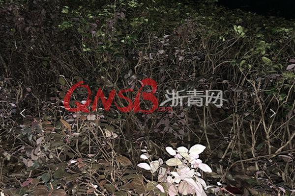 李克強(qiáng)會(huì)見(jiàn)巴西聯(lián)邦共和國(guó)總統(tǒng)