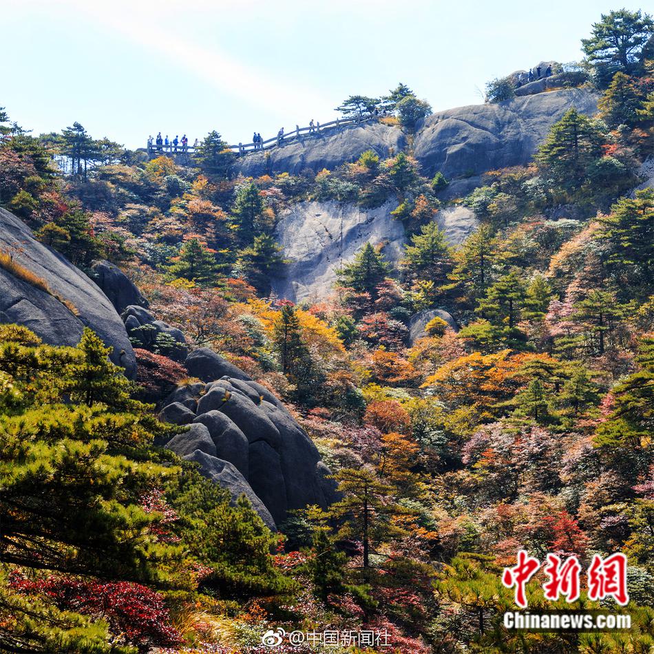 習近平同巴西聯(lián)邦共和國總統(tǒng)舉行會談 兩國元首一致同意推動中巴全面戰(zhàn)略伙伴關系取得新的更大發(fā)展