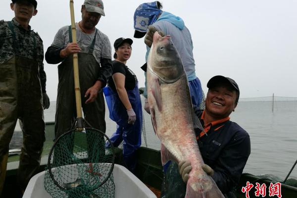 習(xí)近平同巴西聯(lián)邦共和國總統(tǒng)舉行會談 兩國元首一致同意推動中巴全面戰(zhàn)略伙伴關(guān)系取得新的更大發(fā)展