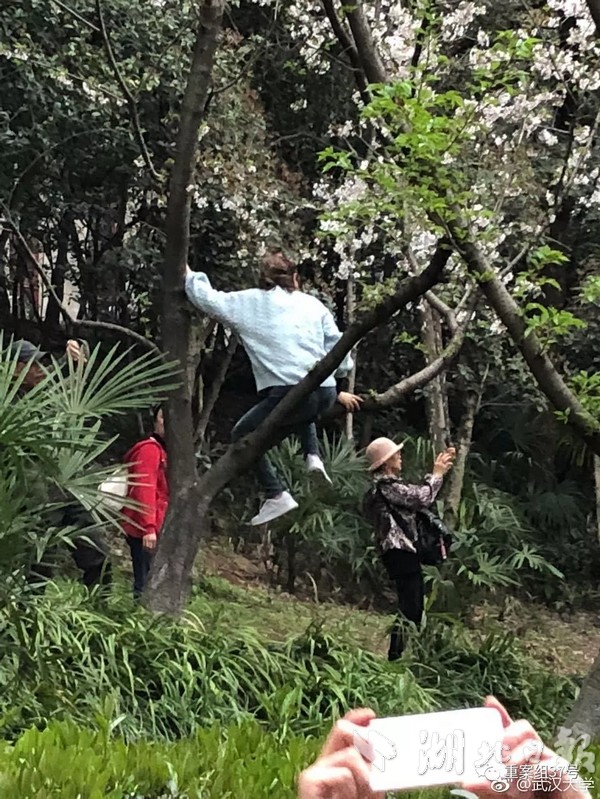 習近平總書記在深度貧困地區(qū)脫貧攻堅座談會上的重要講話引起強烈反響