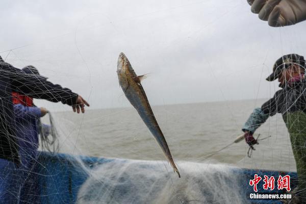 立法擬明確：接種疫苗死殘 不能排除是異常反應也補償