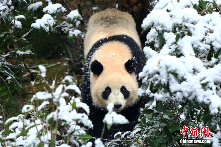 中共中央黨校舉行秋季學(xué)期開(kāi)學(xué)典禮 劉云山出席并講話