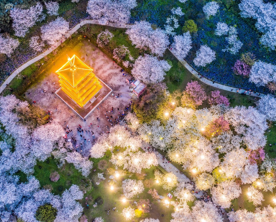 習近平同巴西聯(lián)邦共和國總統(tǒng)舉行會談 兩國元首一致同意推動中巴全面戰(zhàn)略伙伴關(guān)系取得新的更大發(fā)展