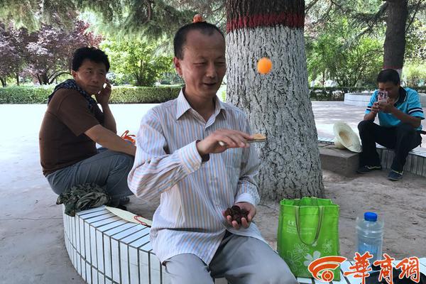 習近平同巴西聯(lián)邦共和國總統(tǒng)舉行會談 兩國元首一致同意推動中巴全面戰(zhàn)略伙伴關系取得新的更大發(fā)展