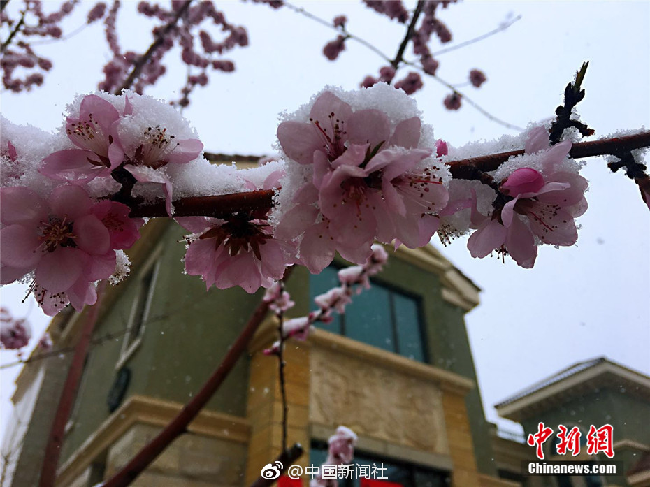 生產(chǎn)、銷(xiāo)售假劣疫苗，罰款標(biāo)準(zhǔn)擬提至3000萬(wàn)