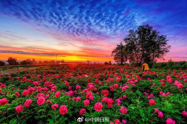 李克強(qiáng)會(huì)見(jiàn)巴西聯(lián)邦共和國(guó)總統(tǒng)