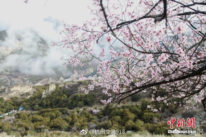 習(xí)近平同巴西聯(lián)邦共和國總統(tǒng)舉行會談 兩國元首一致同意推動中巴全面戰(zhàn)略伙伴關(guān)系取得新的更大發(fā)展