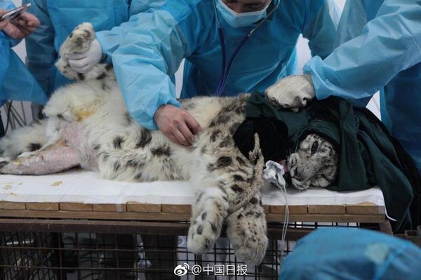 習近平同巴西聯(lián)邦共和國總統(tǒng)舉行會談 兩國元首一致同意推動中巴全面戰(zhàn)略伙伴關系取得新的更大發(fā)展