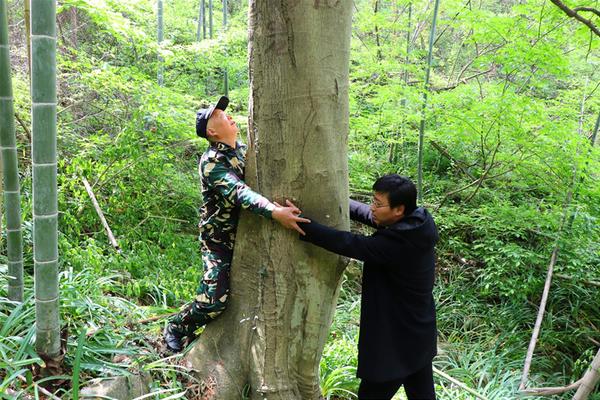 手機(jī)界又一大佬落下帷幕！走向互聯(lián)網(wǎng)業(yè)務(wù)只為最后一搏？