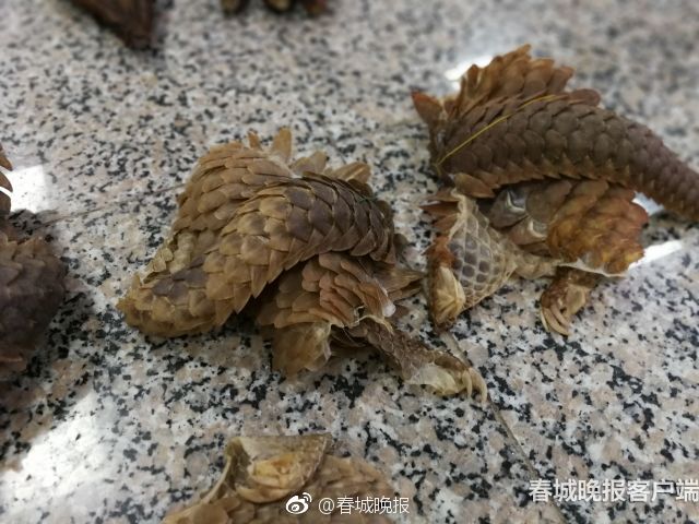 俞正聲會見巴西聯(lián)邦共和國總統(tǒng)