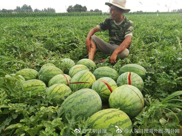 程序員如何賺外快？