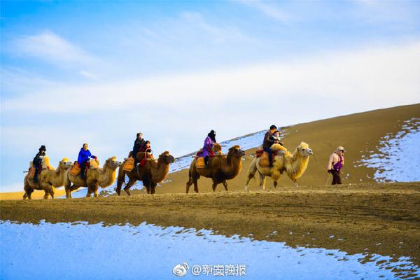 俞正聲會見巴西聯(lián)邦共和國總統(tǒng)