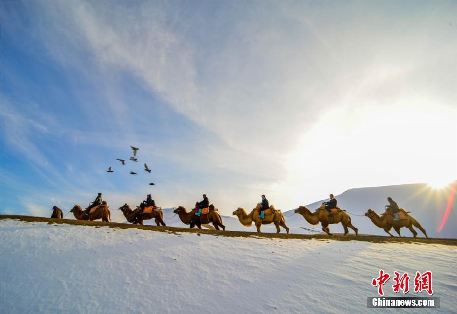 河北“袁府”是養(yǎng)老院？白巖松：要真是，就感動中國了