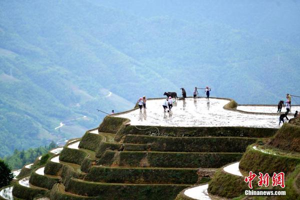 習(xí)近平同巴西聯(lián)邦共和國總統(tǒng)舉行會(huì)談 兩國元首一致同意推動(dòng)中巴全面戰(zhàn)略伙伴關(guān)系取得新的更大發(fā)展