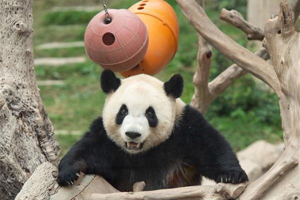 李克強會見巴西聯(lián)邦共和國總統(tǒng)