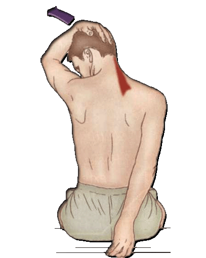 李克強(qiáng)會(huì)見巴西聯(lián)邦共和國總統(tǒng)
