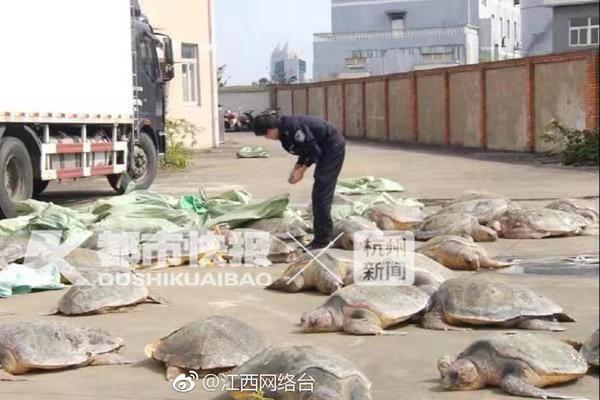 河北“袁府”是養(yǎng)老院？白巖松：要真是，就感動中國了