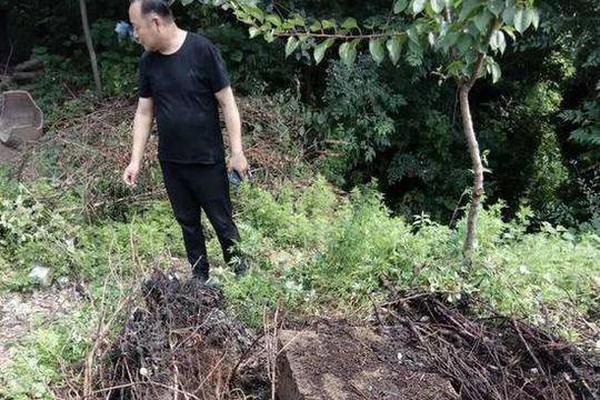 習(xí)近平同巴西聯(lián)邦共和國總統(tǒng)舉行會談 兩國元首一致同意推動中巴全面戰(zhàn)略伙伴關(guān)系取得新的更大發(fā)展