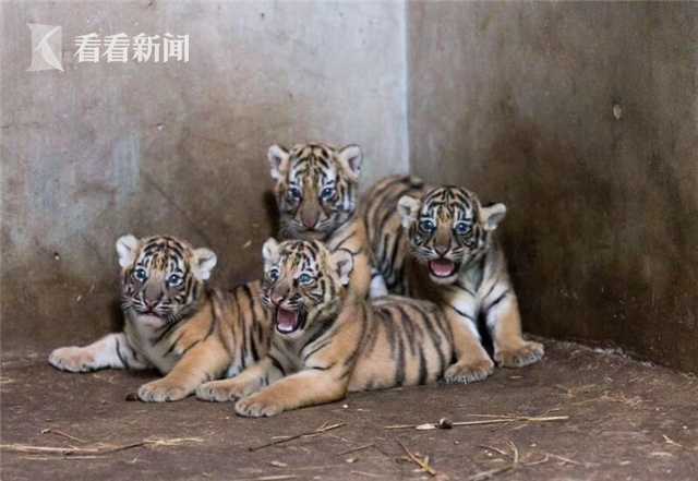 中共中央黨校舉行秋季學(xué)期開學(xué)典禮 劉云山出席并講話
