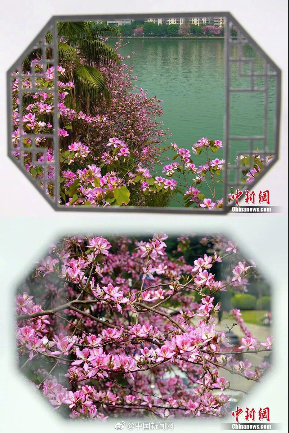 李克強會見巴西聯(lián)邦共和國總統(tǒng)
