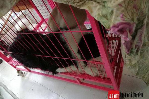 俞正聲會見巴西聯(lián)邦共和國總統(tǒng)