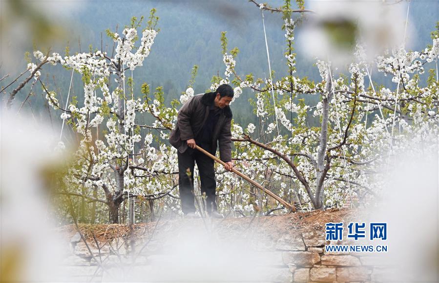 俞正聲會見巴西聯(lián)邦共和國總統(tǒng)