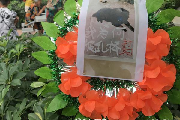 習近平總書記在深度貧困地區(qū)脫貧攻堅座談會上的重要講話引起強烈反響
