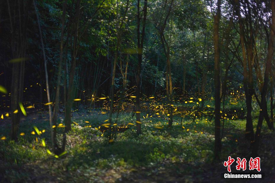 李克強(qiáng)會(huì)見巴西聯(lián)邦共和國(guó)總統(tǒng)