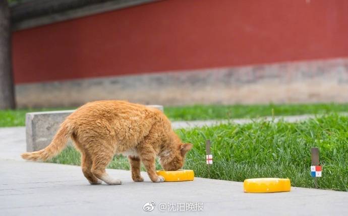 李克強會見巴西聯(lián)邦共和國總統(tǒng)