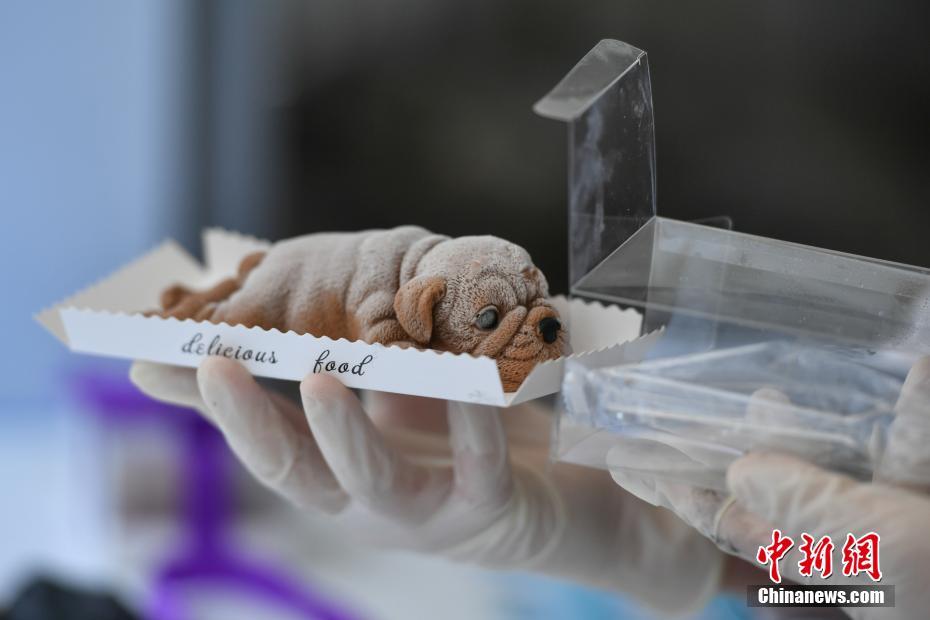 中共中央黨校舉行秋季學期開學典禮 劉云山出席并講話