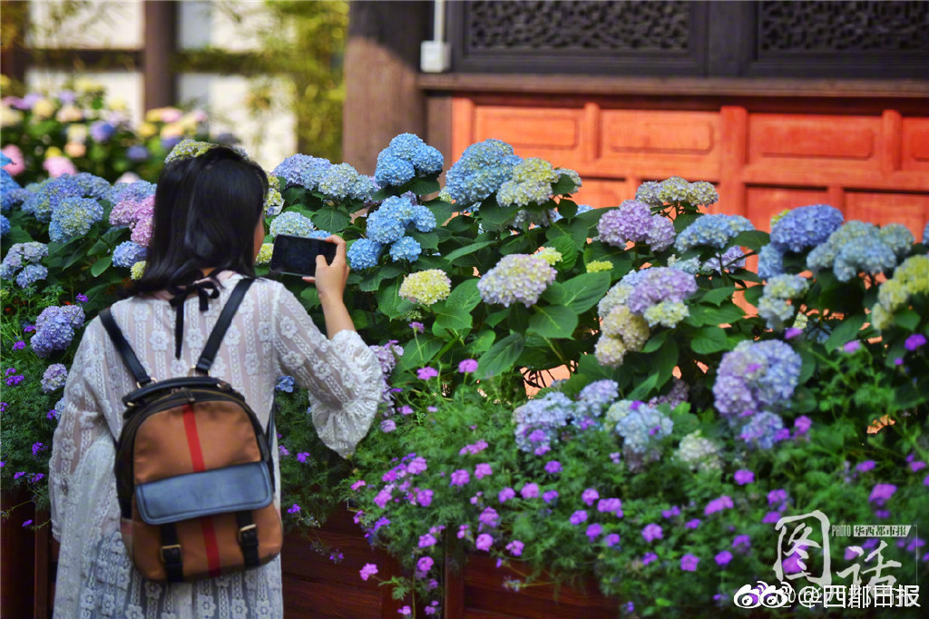 十二屆全國人大常委會(huì)第二十九次會(huì)議在京閉幕