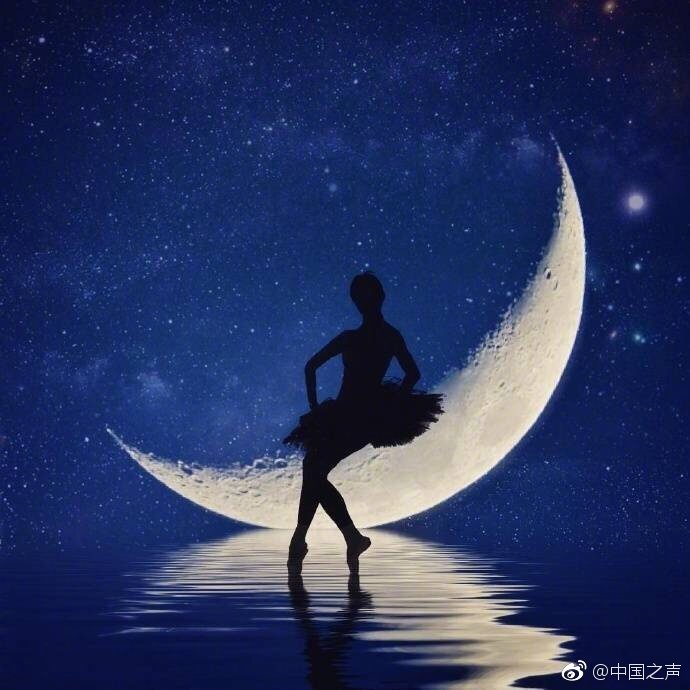 習近平同巴西聯(lián)邦共和國總統(tǒng)舉行會談 兩國元首一致同意推動中巴全面戰(zhàn)略伙伴關系取得新的更大發(fā)展