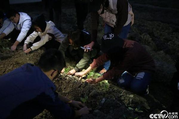 習(xí)近平同巴西聯(lián)邦共和國總統(tǒng)舉行會談 兩國元首一致同意推動中巴全面戰(zhàn)略伙伴關(guān)系取得新的更大發(fā)展