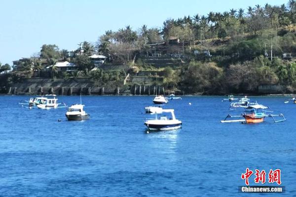 河北“袁府”是養(yǎng)老院？白巖松：要真是，就感動中國了