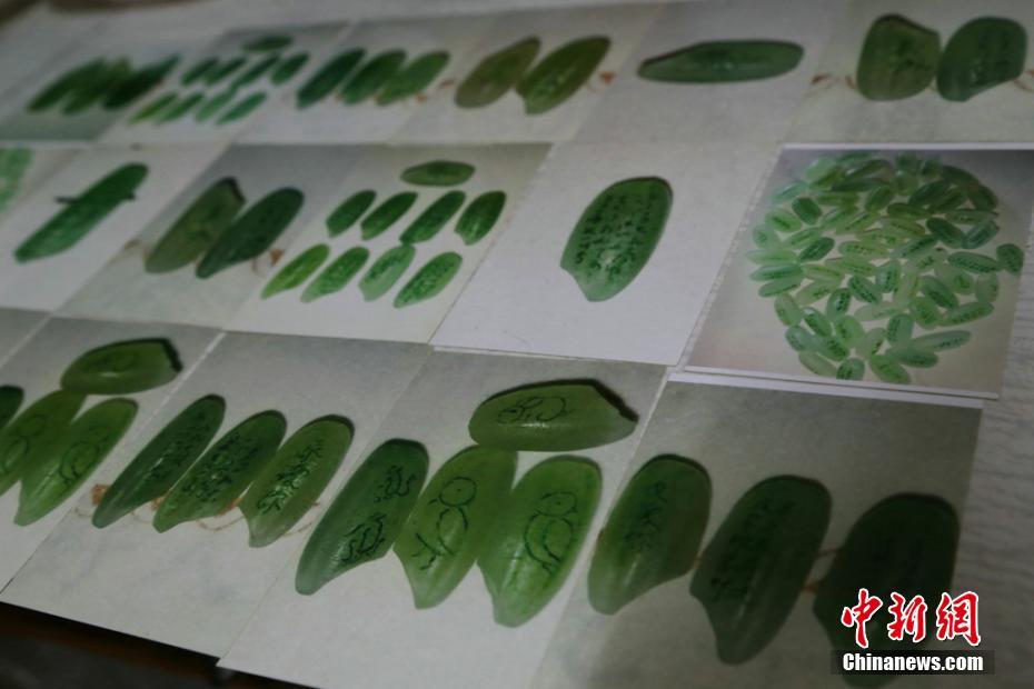 俞正聲會見巴西聯(lián)邦共和國總統(tǒng)
