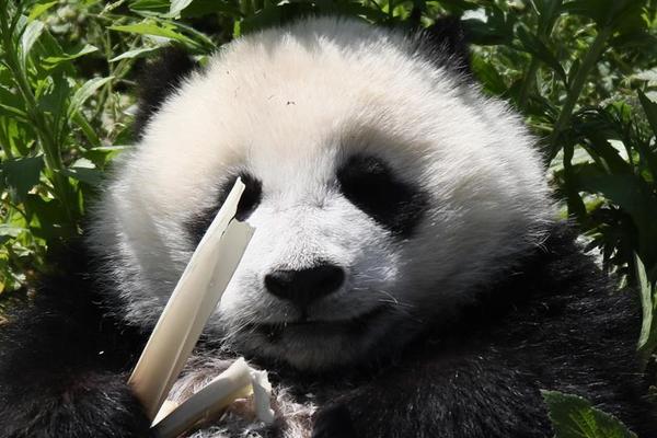 中共中央黨校舉行秋季學(xué)期開學(xué)典禮 劉云山出席并講話