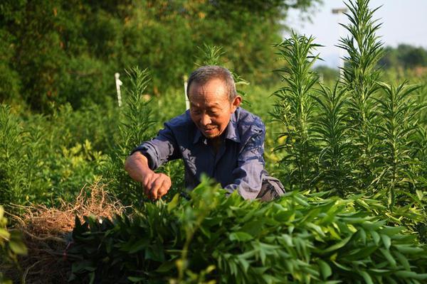 歌斐資產(chǎn)全委團(tuán)隊(duì)榮獲兩項(xiàng)大獎(jiǎng)項(xiàng)