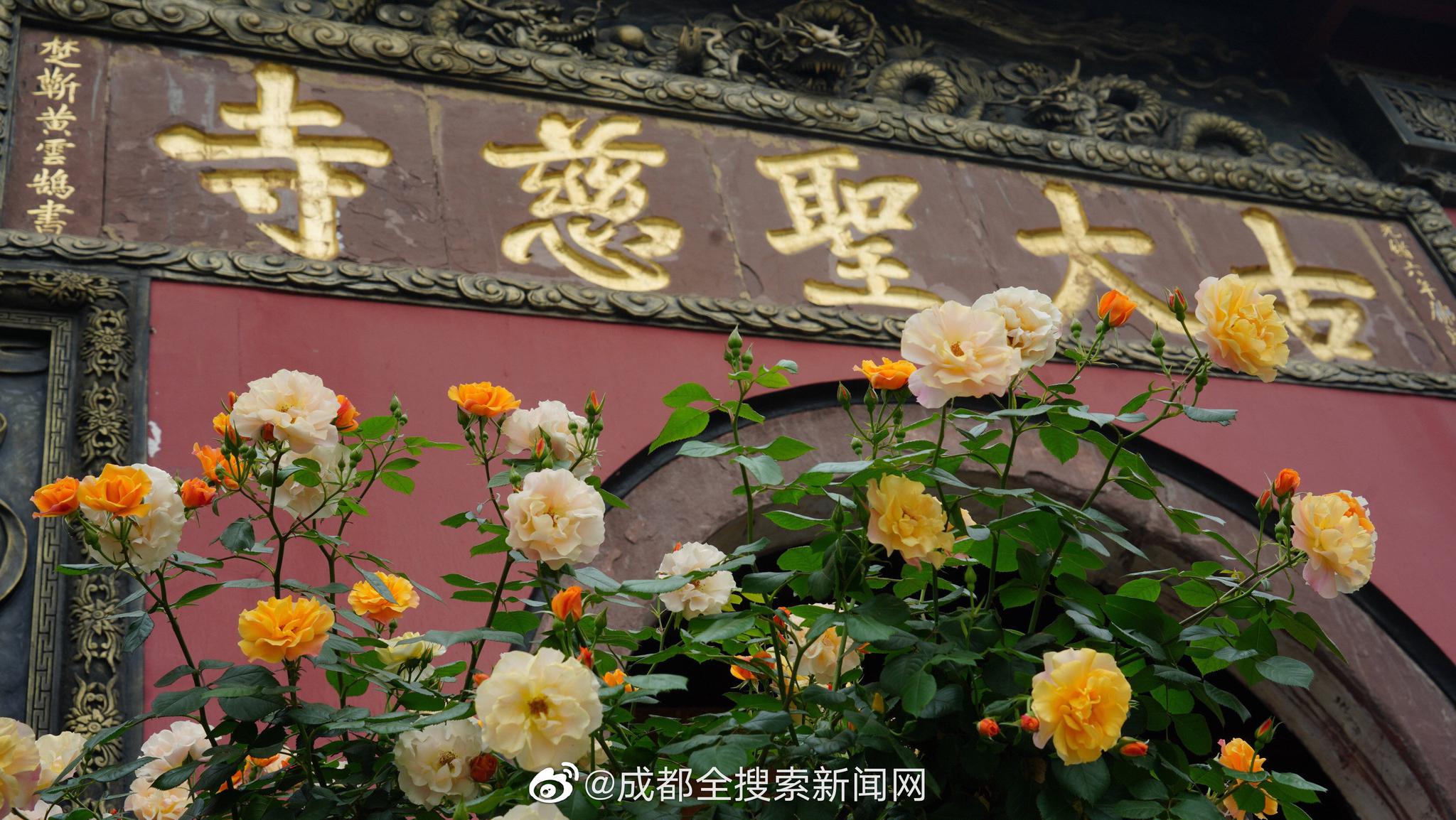 中共中央黨校舉行秋季學(xué)期開學(xué)典禮 劉云山出席并講話